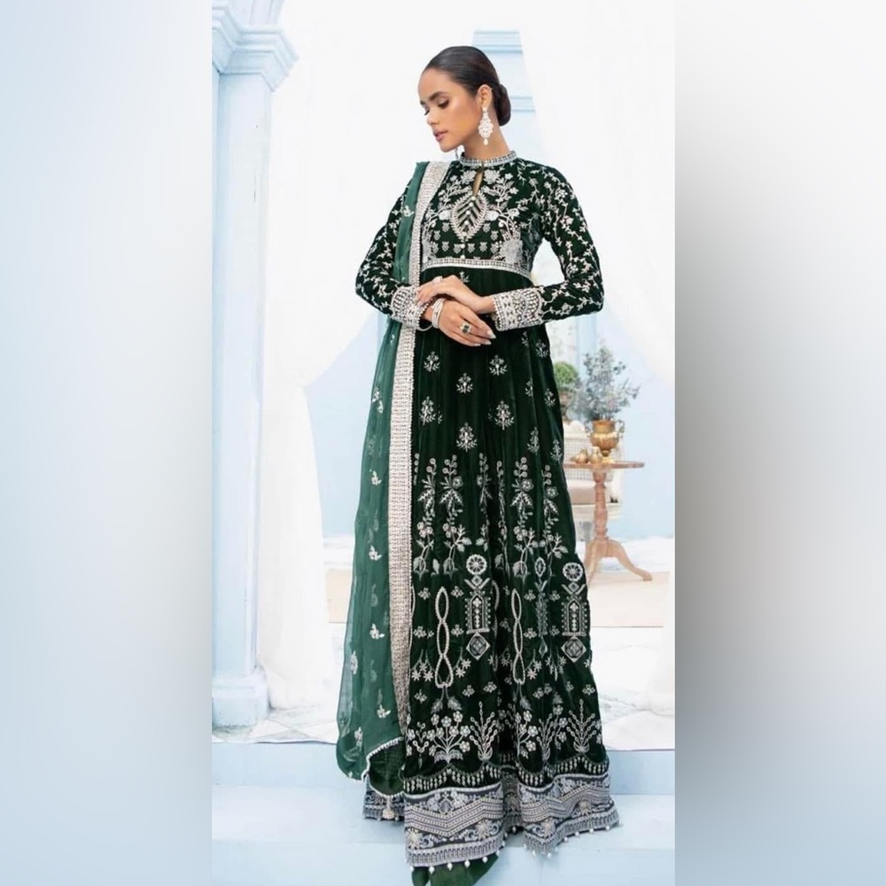 Aik Atelier Pakistani velvet gown